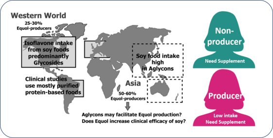 Equol Machine A New Key to Women’s Menopausal Health: The Bio-Manufacturing and ...